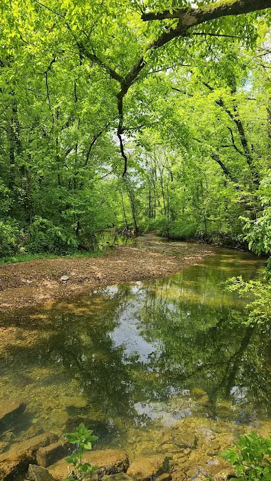 Barton Springs Campgrounds Picture 7