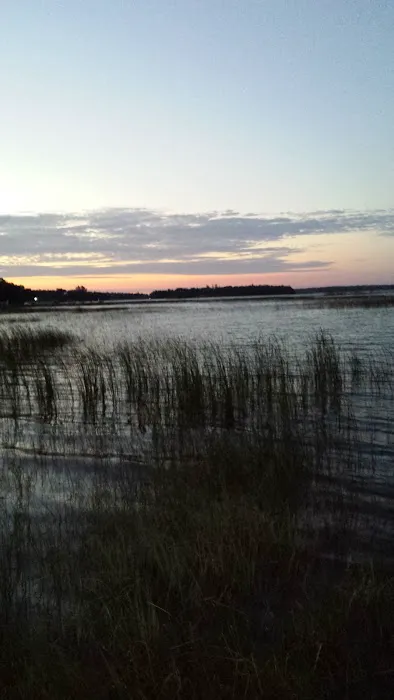 Loons Point Campground Picture 2