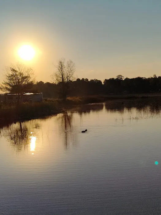 Loons Point RV Park and Campground Picture 2