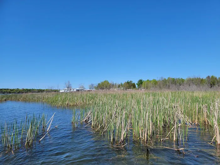 Loons Point RV Park and Campground Picture 9