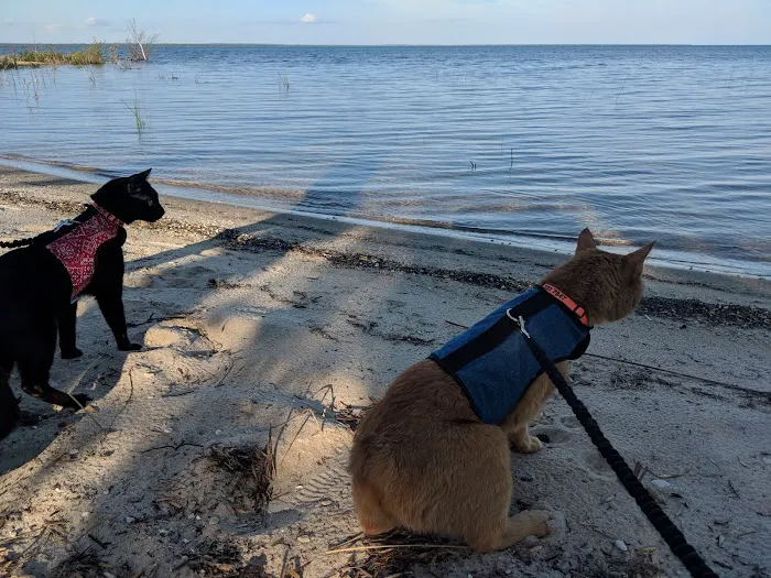 Reddmann's Sleepy Hollow Picture 9