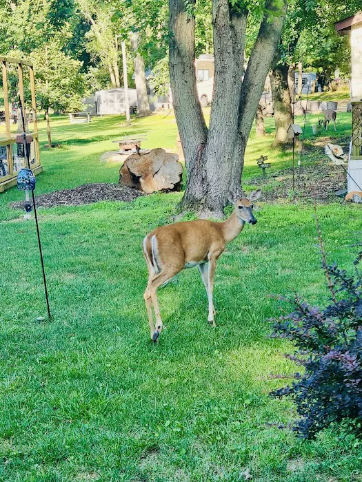 Woodhaven Lakes Picture 16