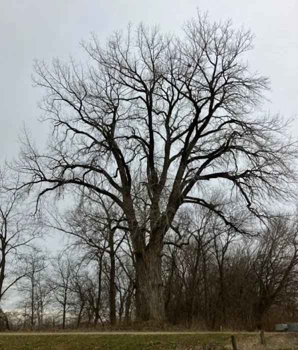 Hennepin Canal - Bridge 14 Campground Picture 2
