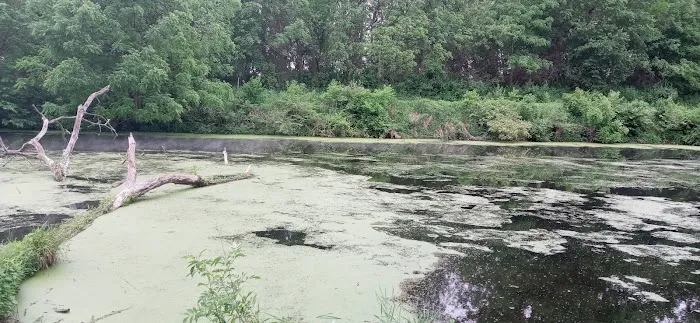 Hennepin Canal - Bridge 14 Campground Picture 9