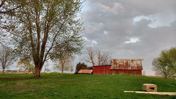 Lazy T Campground Picture 2