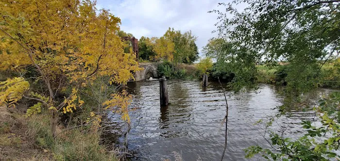 Lock 22 Camping Picture 1