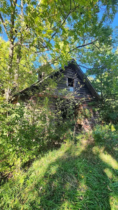 Ponderosa Wilderness Picture 3