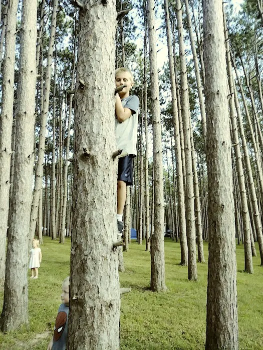 Chief Keokuk Campground Picture 7