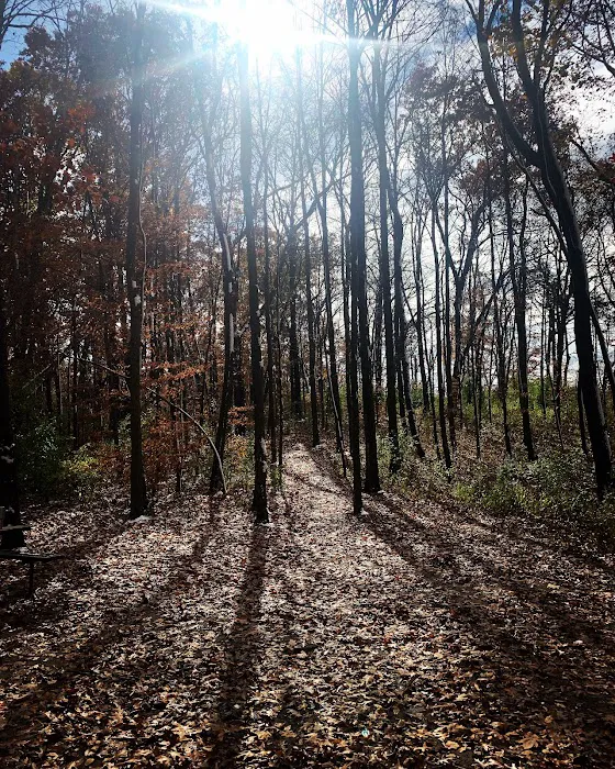 Ottawa Lake Campground Picture 4