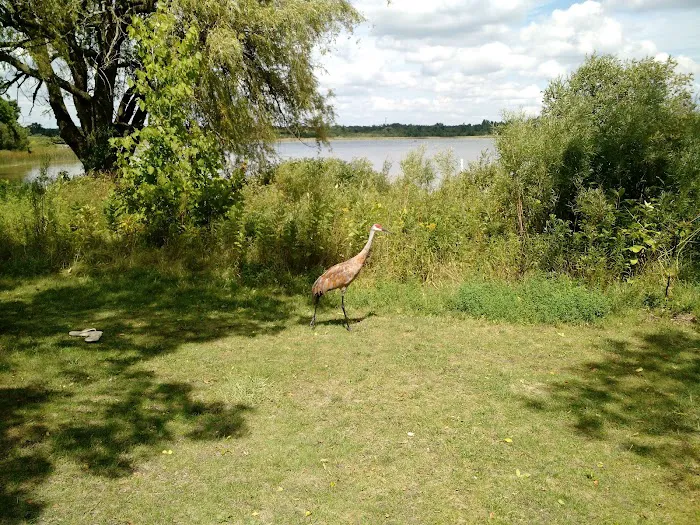 Ottawa Lake Amphitheater Picture 9