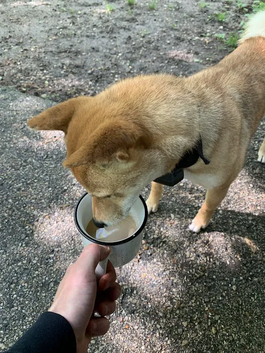 Pinewoods Campground Picture 1