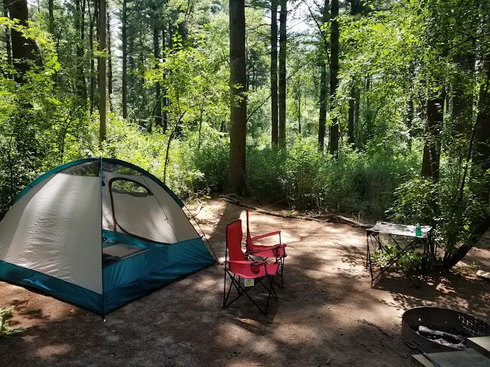 Pinewoods Campground Picture 3