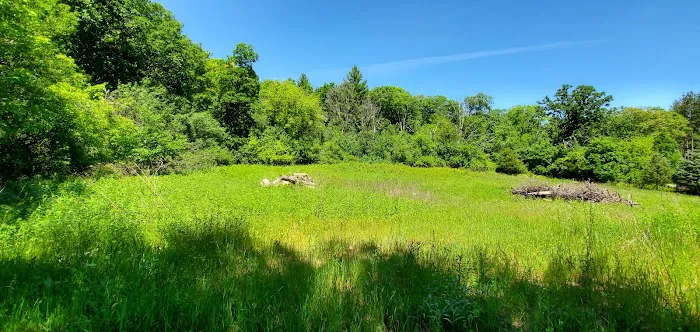 Pinewoods Campground Picture 7