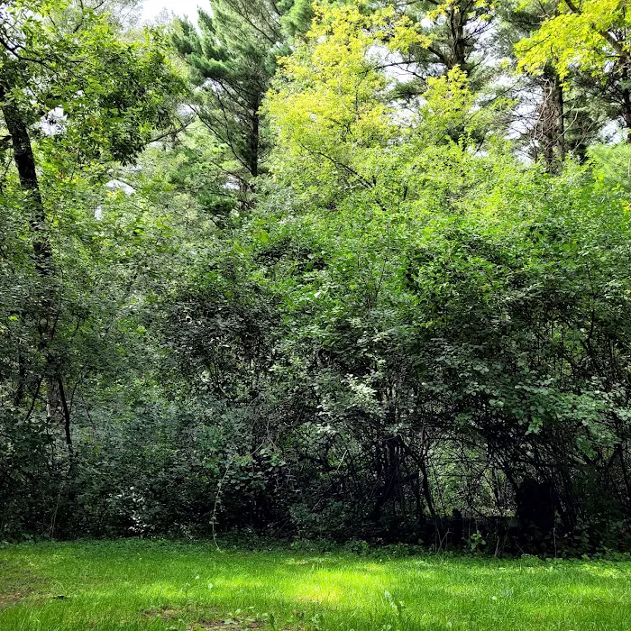 Pinewoods Campground Picture 8