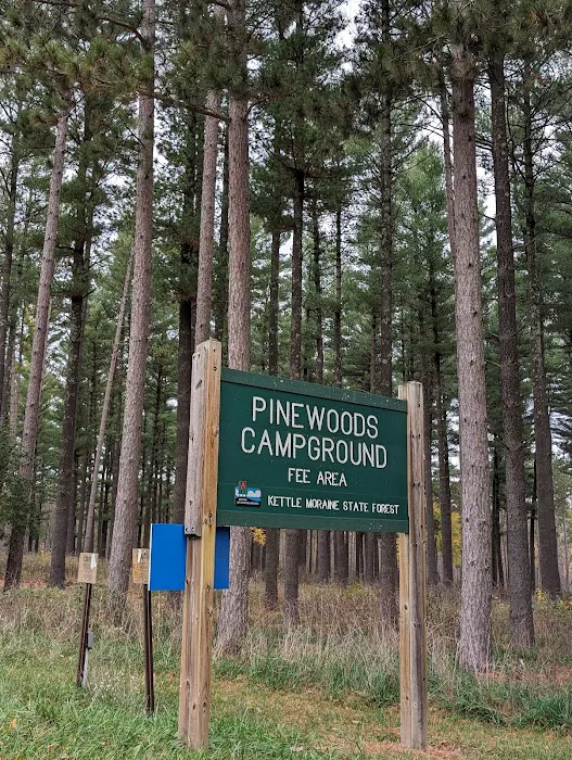 Pinewoods Campground Picture 9