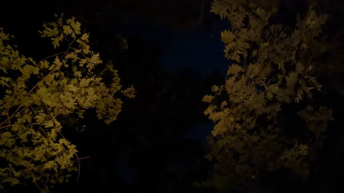 Family Campsites Picture 4