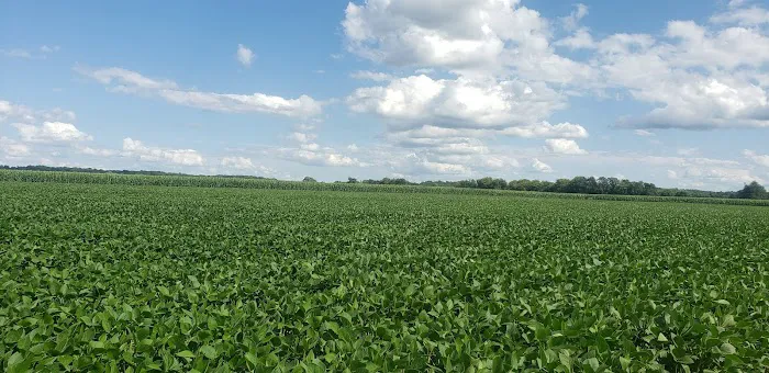 Viking Village Campground Picture 6