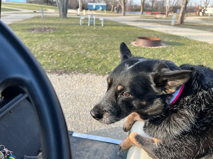 Badgerland Campground Picture 2