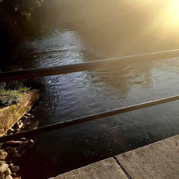 Bark River Campgrounds Picture 5