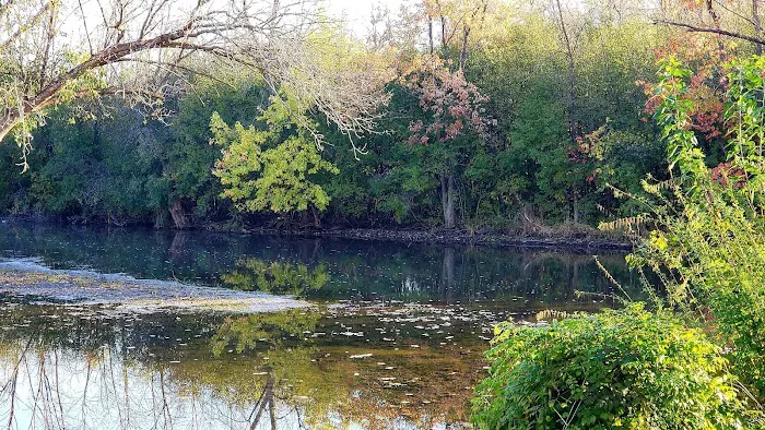 Rome Riverside Campground Picture 6