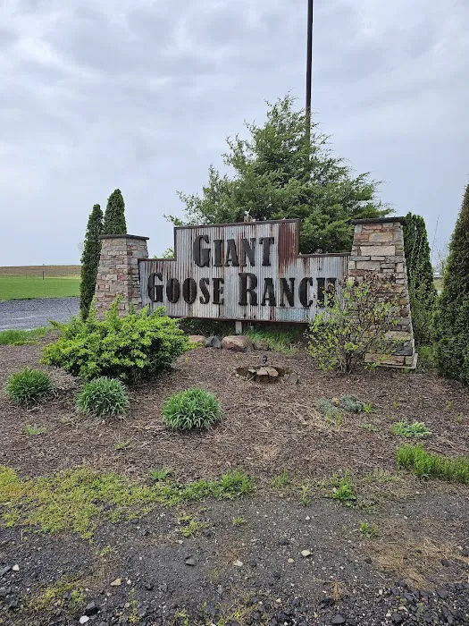Giant Goose Ranch Picture 1