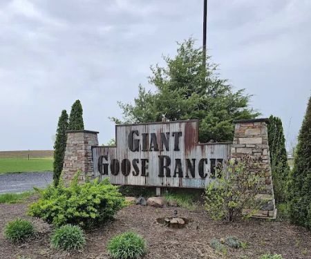Giant Goose Ranch