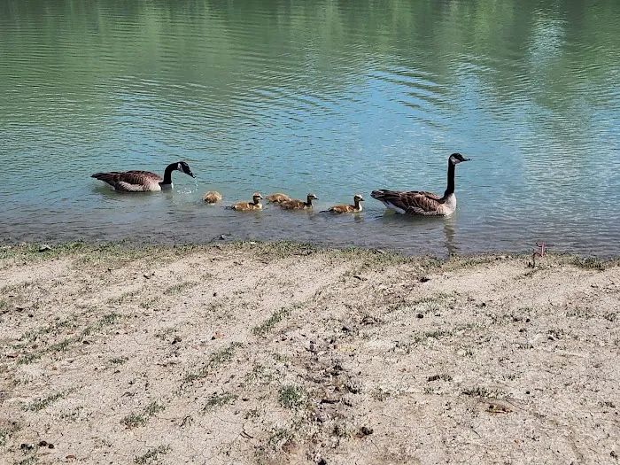 Giant Goose Ranch Picture 5