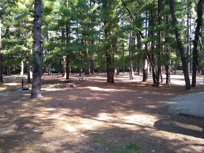 Pine Campground Picture 2
