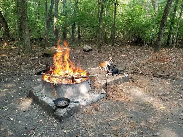 Pine Campground Picture 3