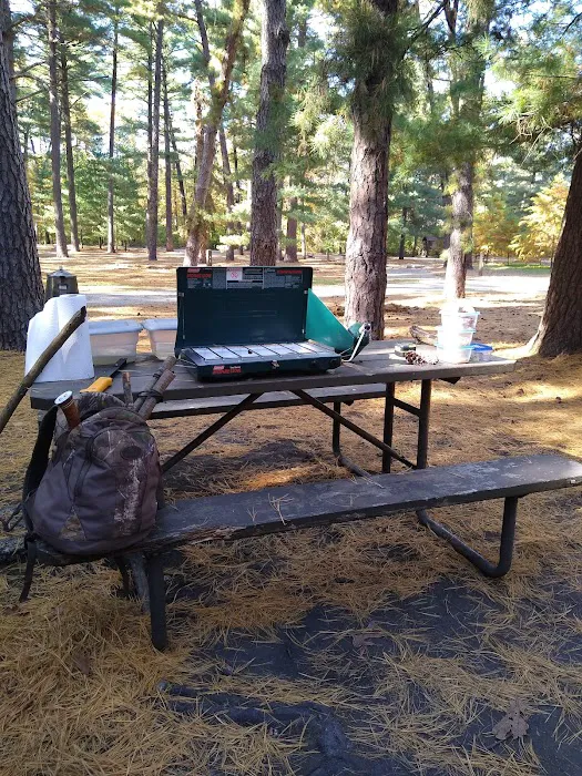 Pine Campground Picture 1