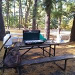 Pine Campground