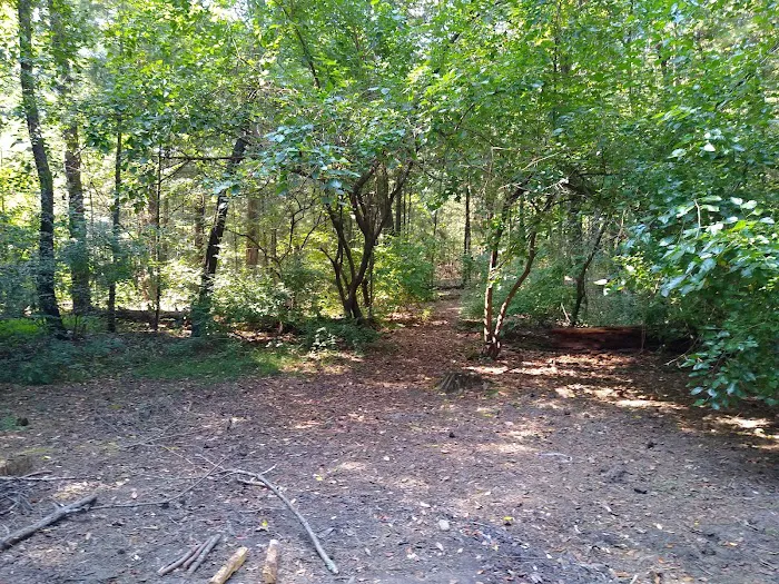 Pine Campground Picture 8