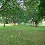 Webb's Valley View Campground