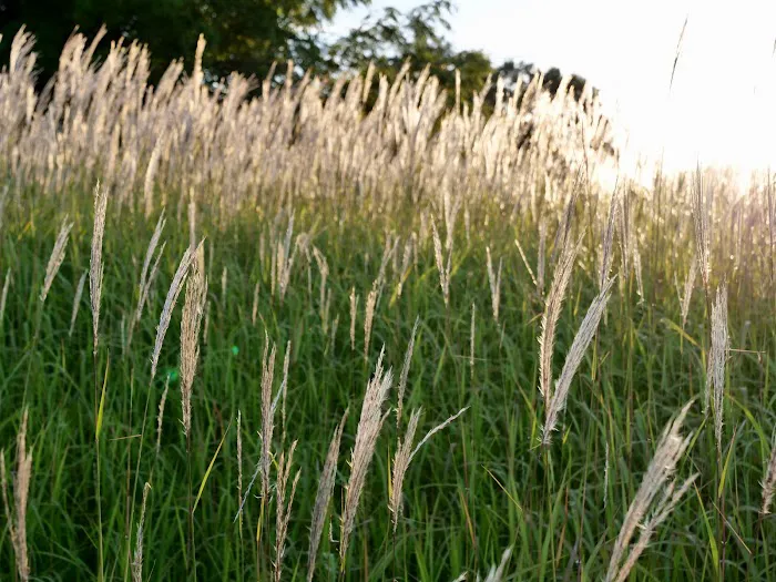 Webb's Valley View Campground Picture 3