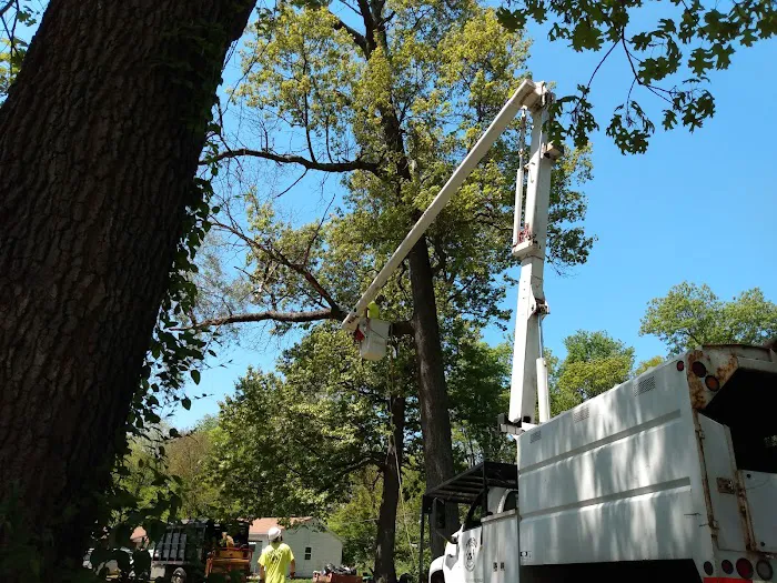 Lost Arrow Campground Picture 2