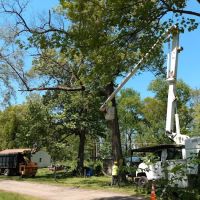 Lost Arrow Campground ico