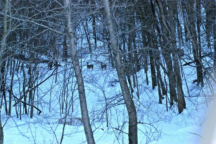 Mount Pisgah...a peaceful place Picture 2