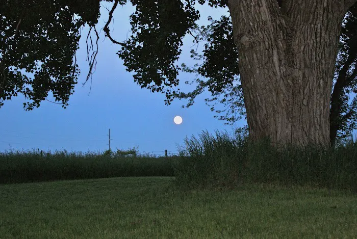 Mount Pisgah...a peaceful place Picture 7