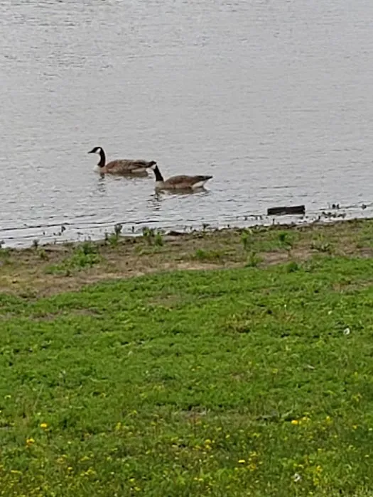 Havana Park District Camping Picture 10