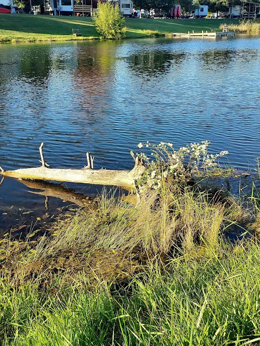 Cabin Fever Campground and Hunt Club Picture 3