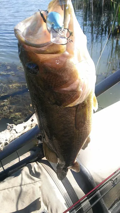 Cabin Fever Campground and Hunt Club Picture 10