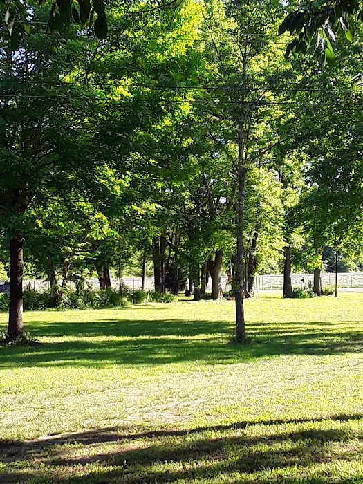 Landing Campground Picture 5