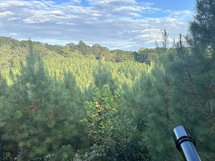 Nine Pines Retreats Picture 10