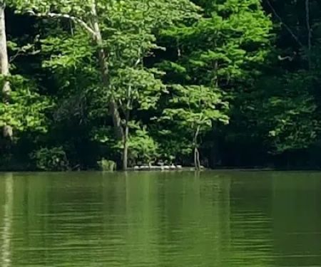 Rushing Bay Camp Spot