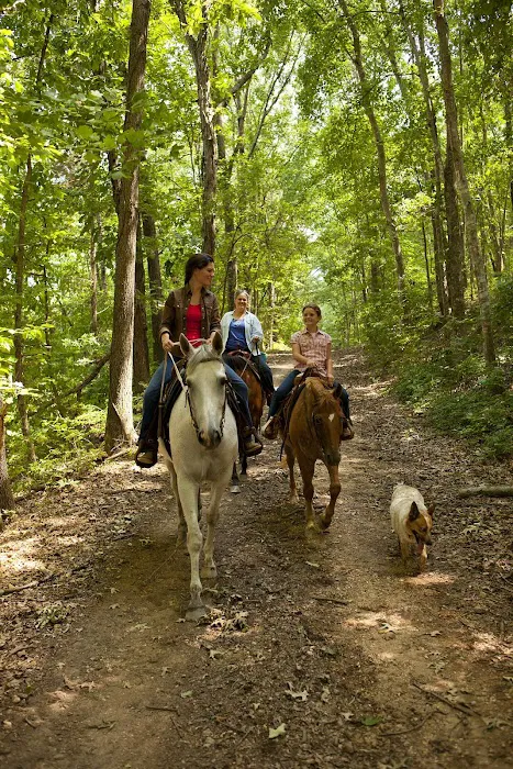 Wranglers Campground: Land Between the Lakes Picture 6