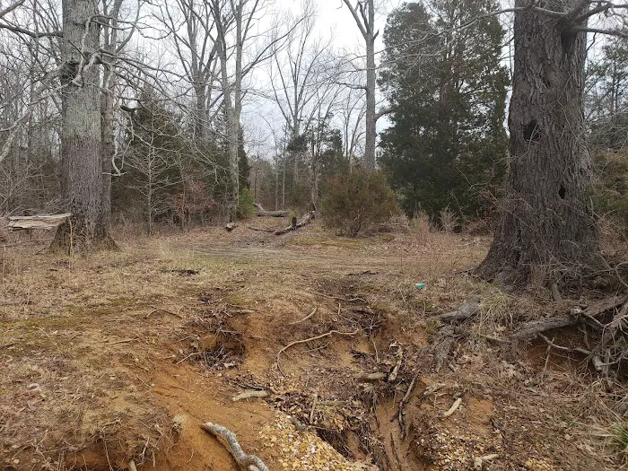 Boswell Landing Self-Service Campground & Boat Ramp Picture 9