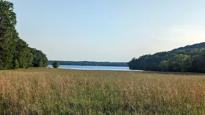 Colson Hollow Group Camping Area Picture 4