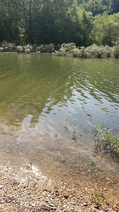 Fenton Self Service Campground Picture 4