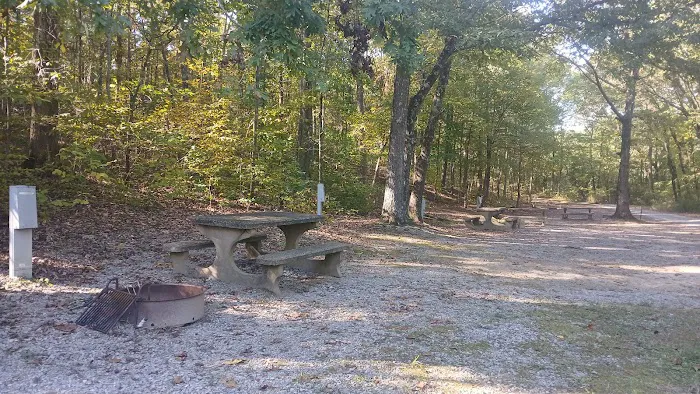 Fenton Self Service Campground Picture 8
