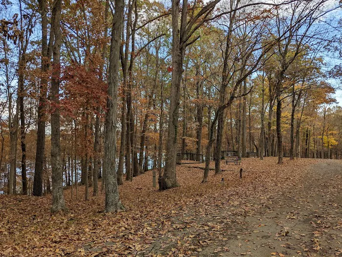 Lake Barkley Campground Picture 10